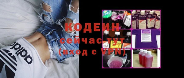 крисы Инсар