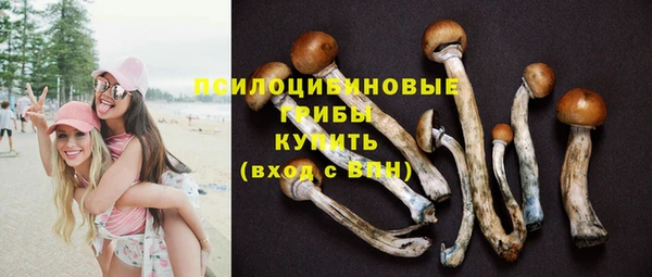 крисы Инсар
