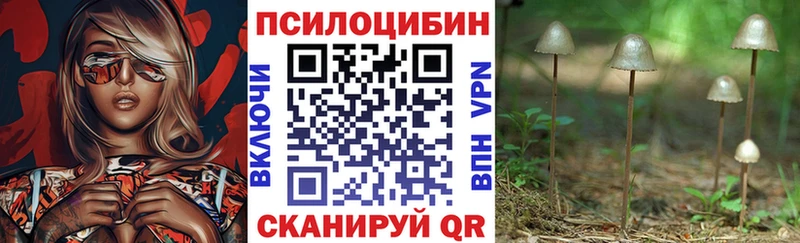 Купить где  Зеленоградск  Галлюциногенные грибы Psilocybine cubensis 
